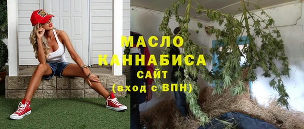 гашик Снежинск