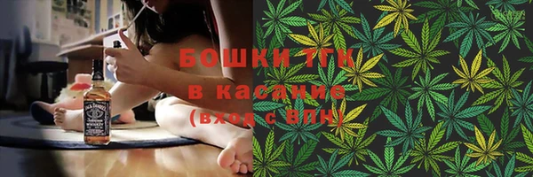 молекула духа Михайловск