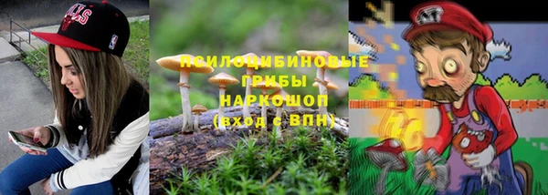 дмт Приозерск