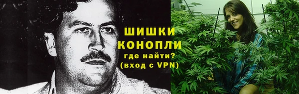 молекула духа Михайловск