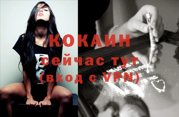 молекула духа Михайловск