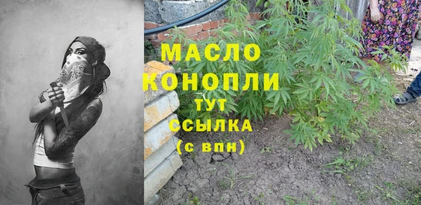 молекула духа Михайловск