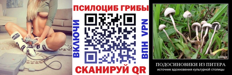 где продают наркотики Большой Камень Псилоцибиновые грибы мухоморы