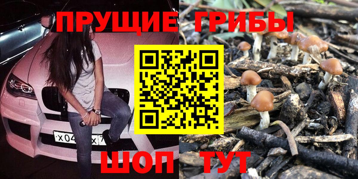 Галлюциногенные грибы GOLDEN TEACHER  Галлюциногенные грибы Psilocybine cubensis  Большой Камень  Вход с VPN 
